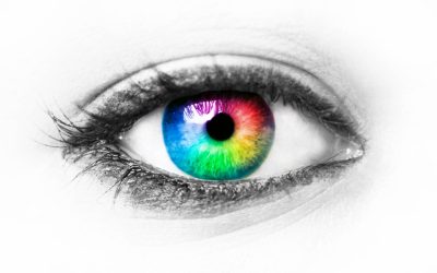 CURIOSIDADES SOBRE LA VISIÓN